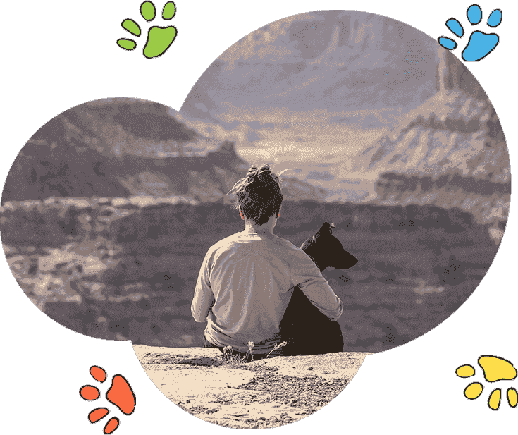 官方正版授权的DDOS攻击教程