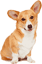 放心的注册平台推荐的网站ddos隐藏源ip